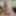 Addams Oral Sex