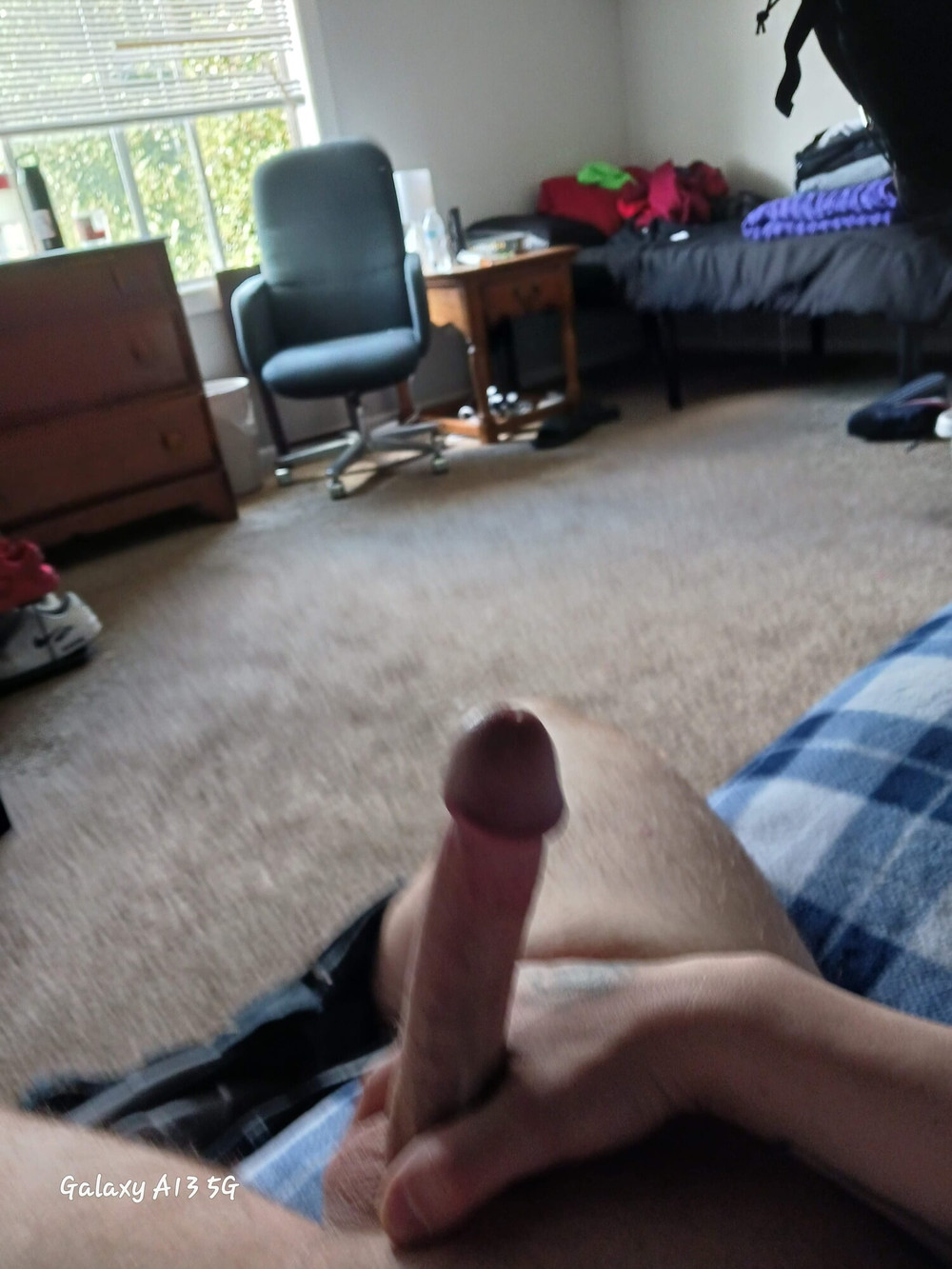 Cream pie from Mdick  #11
