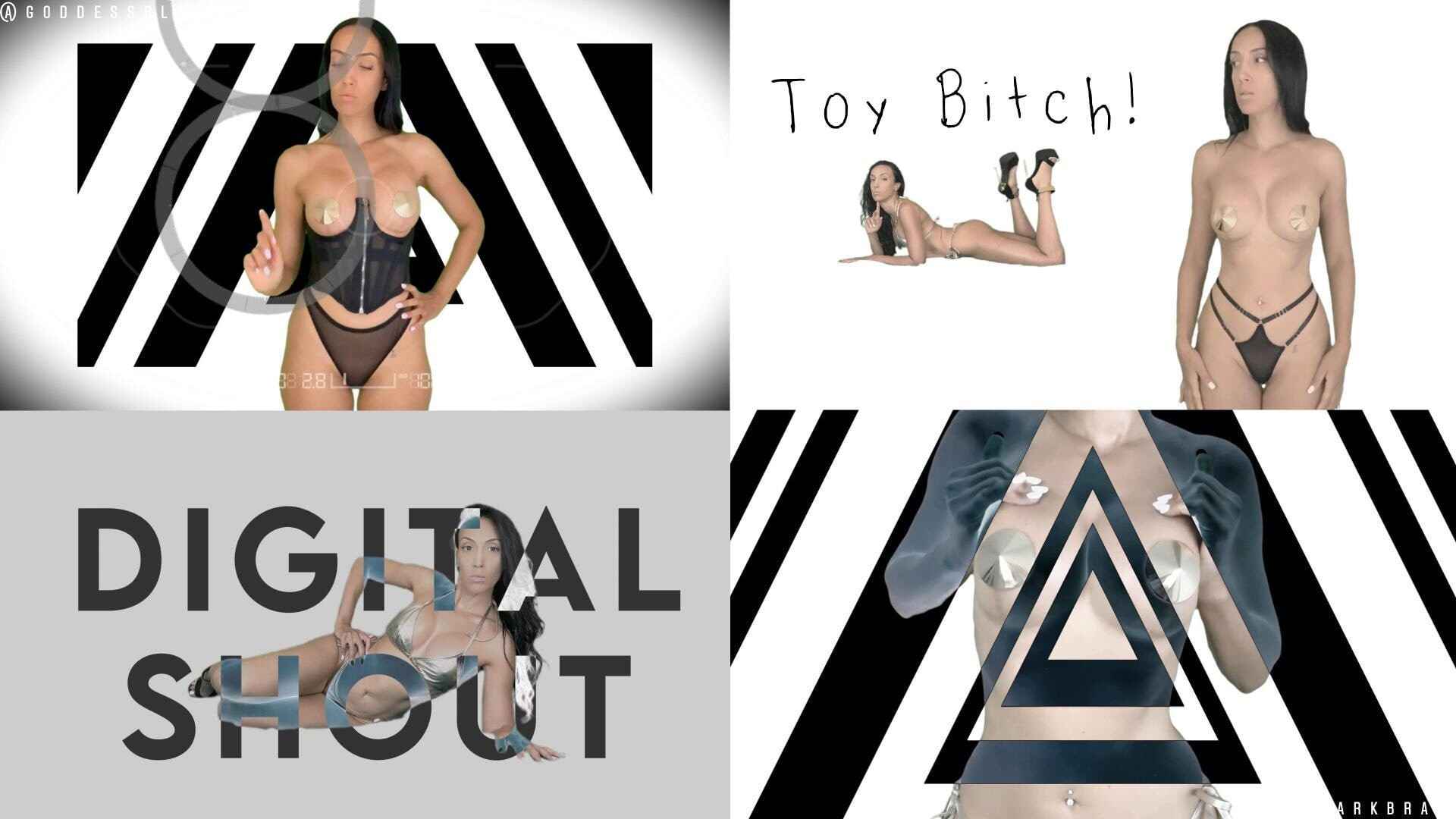 DIGITAL SHOUT 