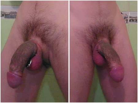 Kontol besar bertato dan ditindik 
