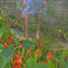 Hairy Milf JoyTwoSex - Dress And Garden