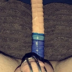 Chastity cage 