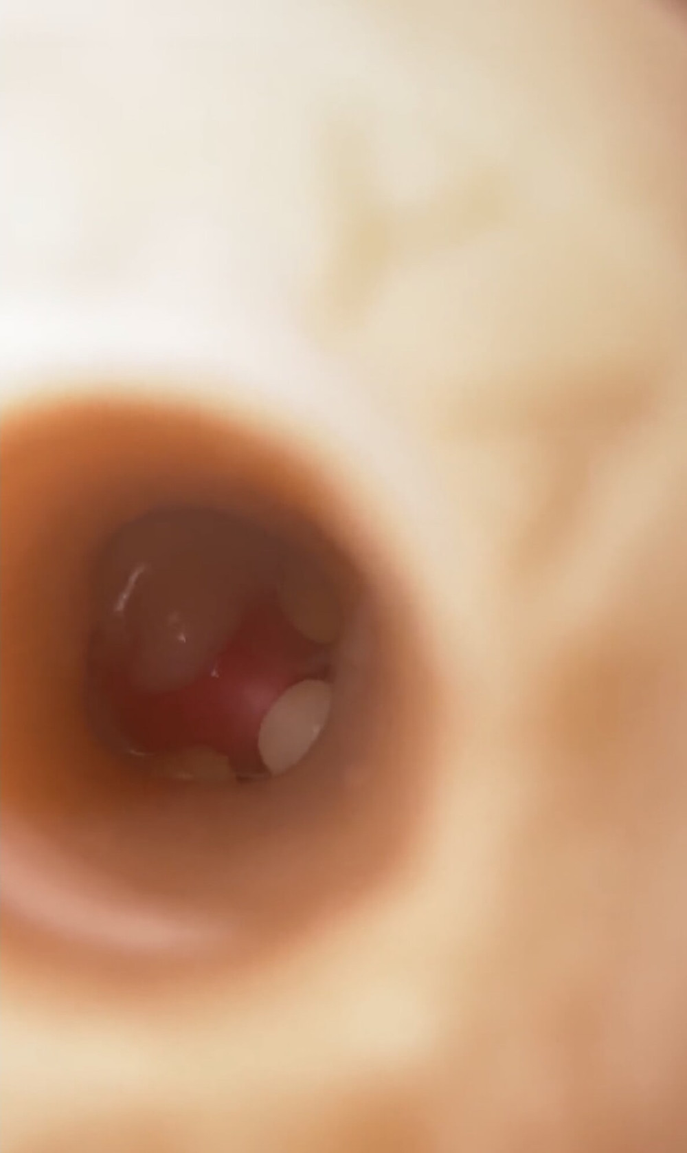 Stoya Destroya Texture Cumshot #2