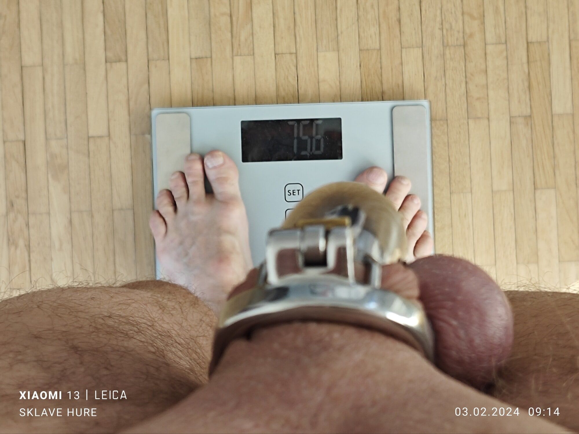 Mandatory weighing cagecheck February 03, 2024 #7