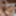 Jyuri Haruka :: Getting Up Sensitive Masochist Nipples 5 - C
