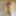 Naked Photo Shoot #17