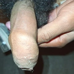 Video baru viral pria gay raksasa besar 999