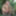 Punk babe Jesyka Diamond posing nude in the jungle