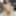 Asian babe sucks until I cum for her