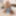 TGIRL40: Dana’s Back In Town