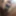 Ücretsiz NixxyStixx Fotoğrafları