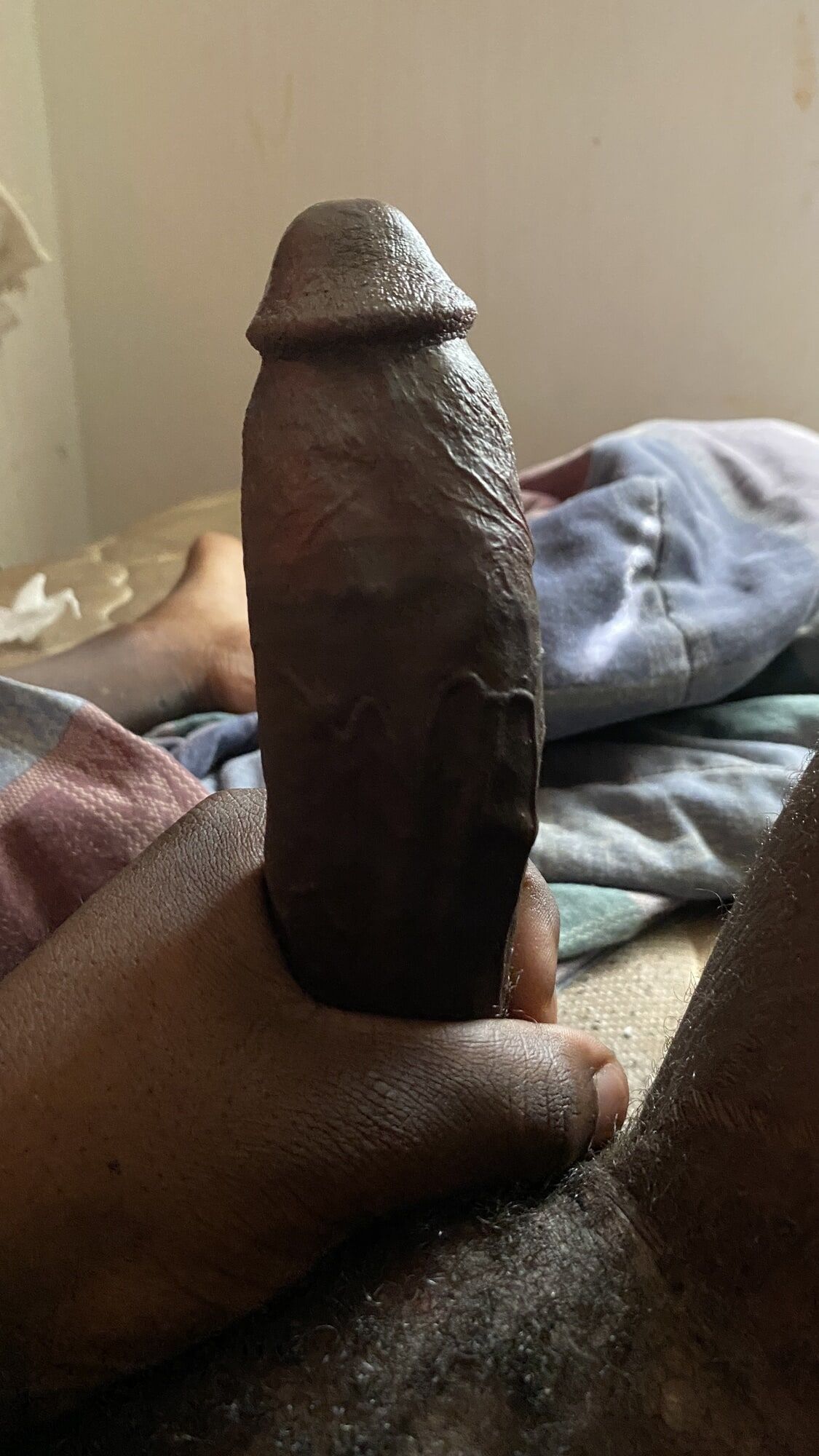 My Beloved Dick Dick #3