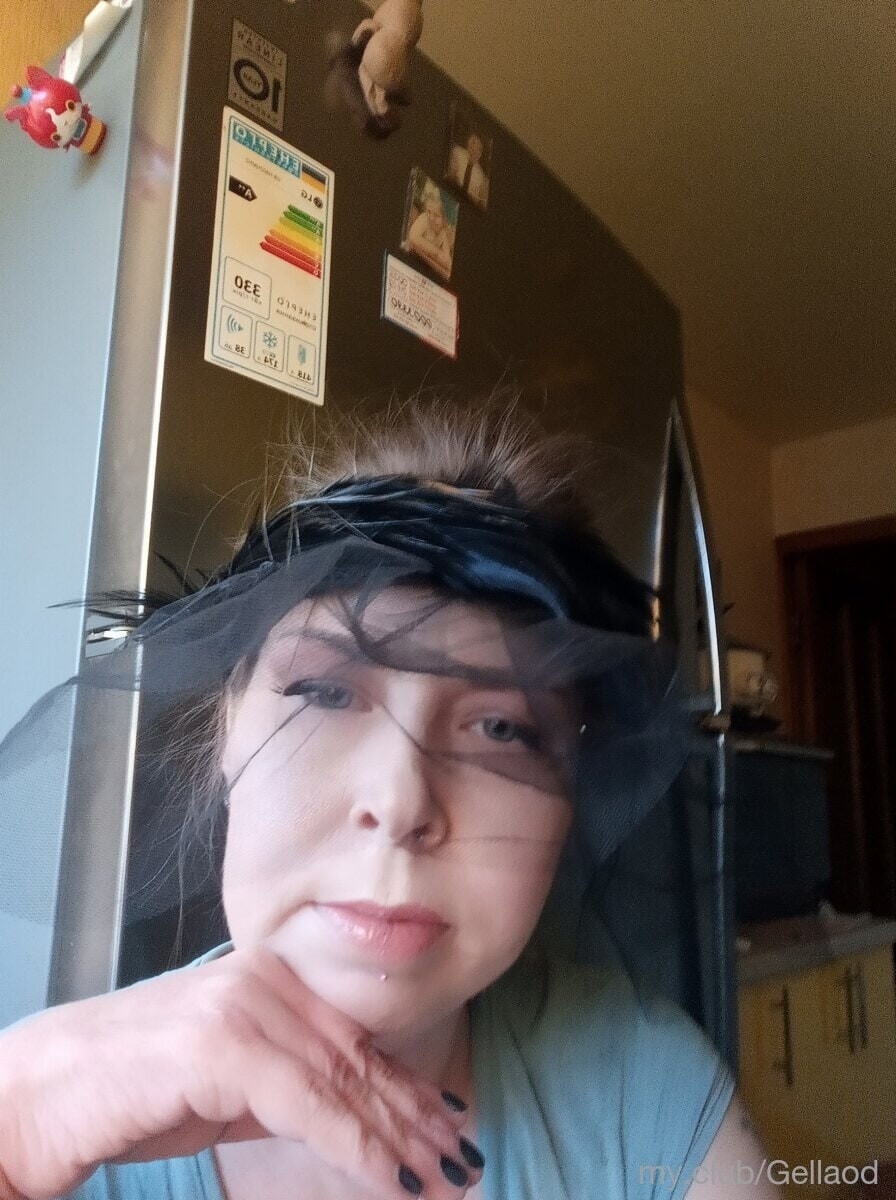 Gellaod Free Photos #9