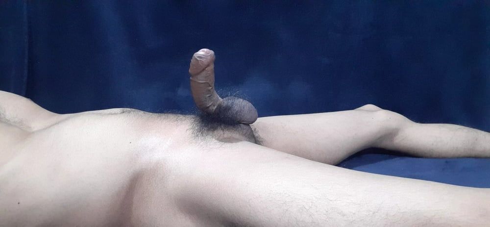 Cock  #6