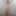 July 6, 2024 Daily duty of the naked slave #6