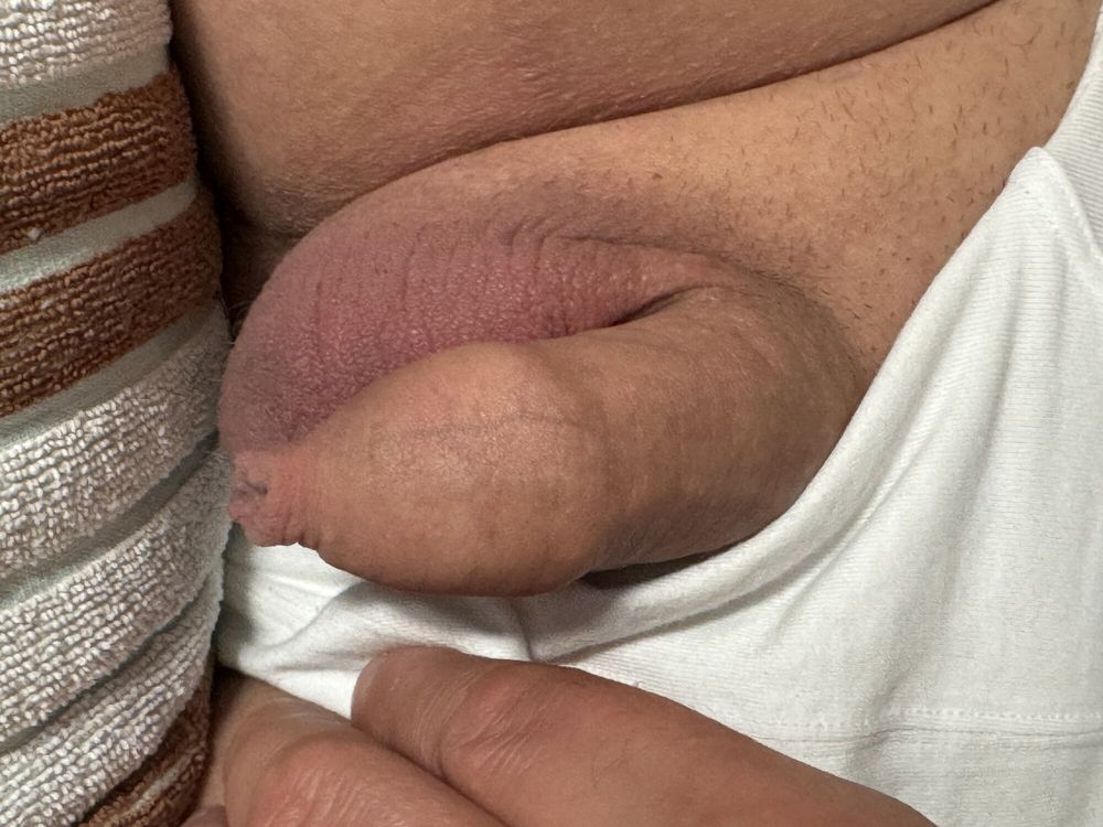 cock #3