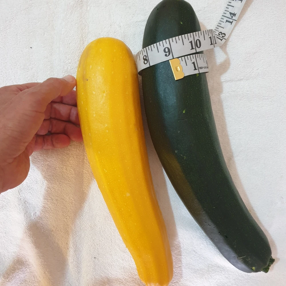 Big zucchini in my ass #4