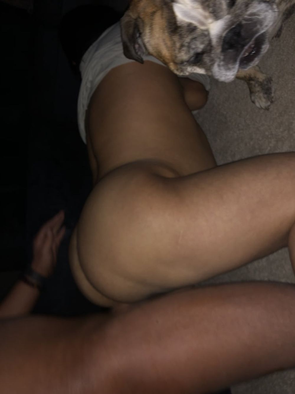 Bbw with dog  #6