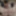 my naked gallery