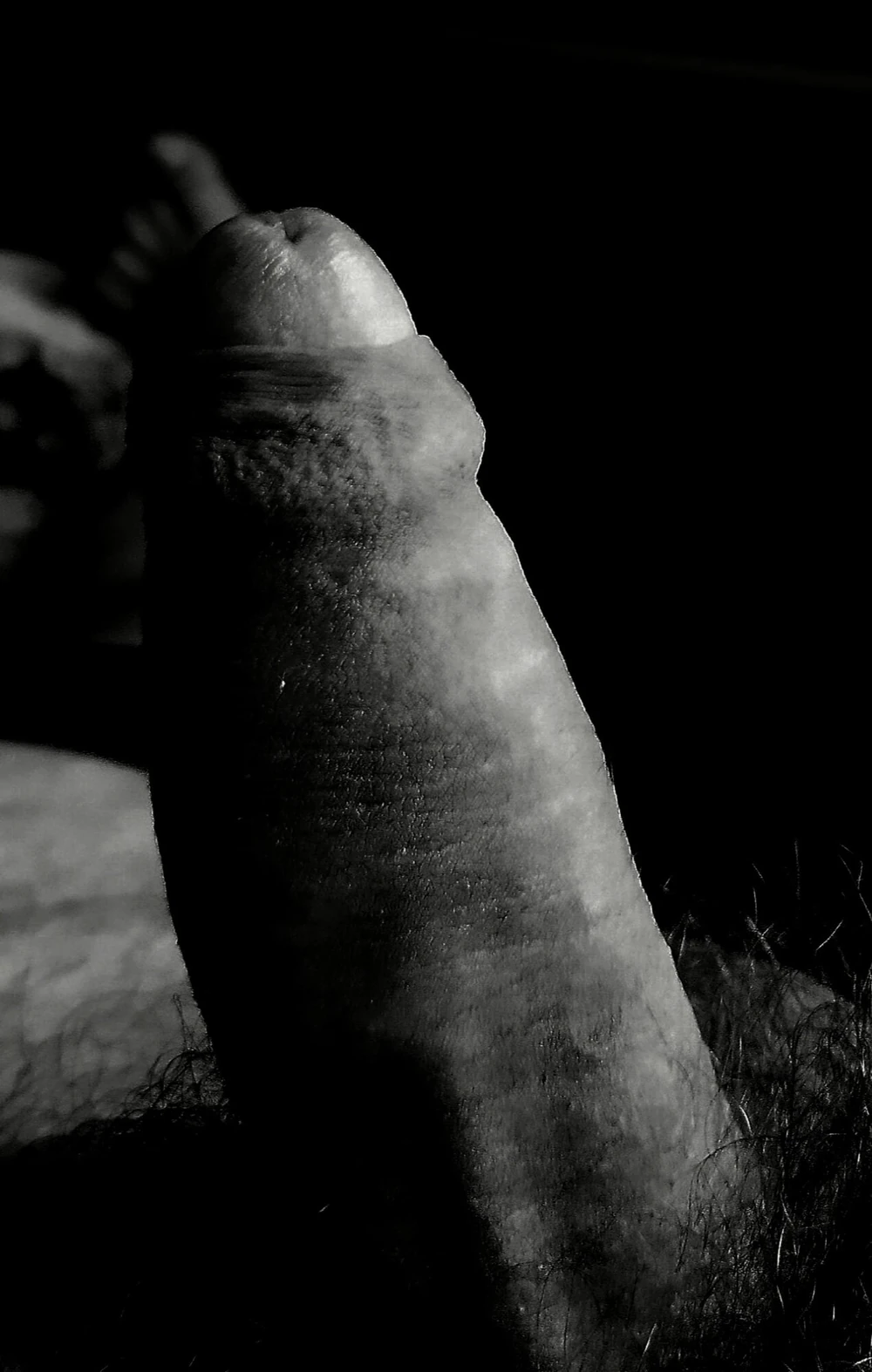 My cock