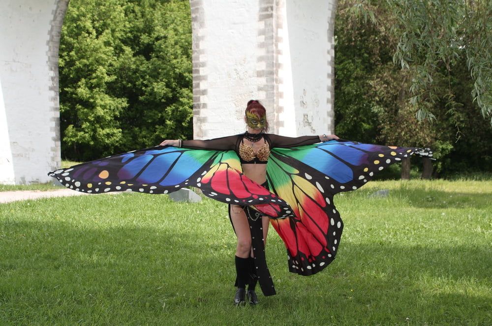 Wings of Butterfly #28