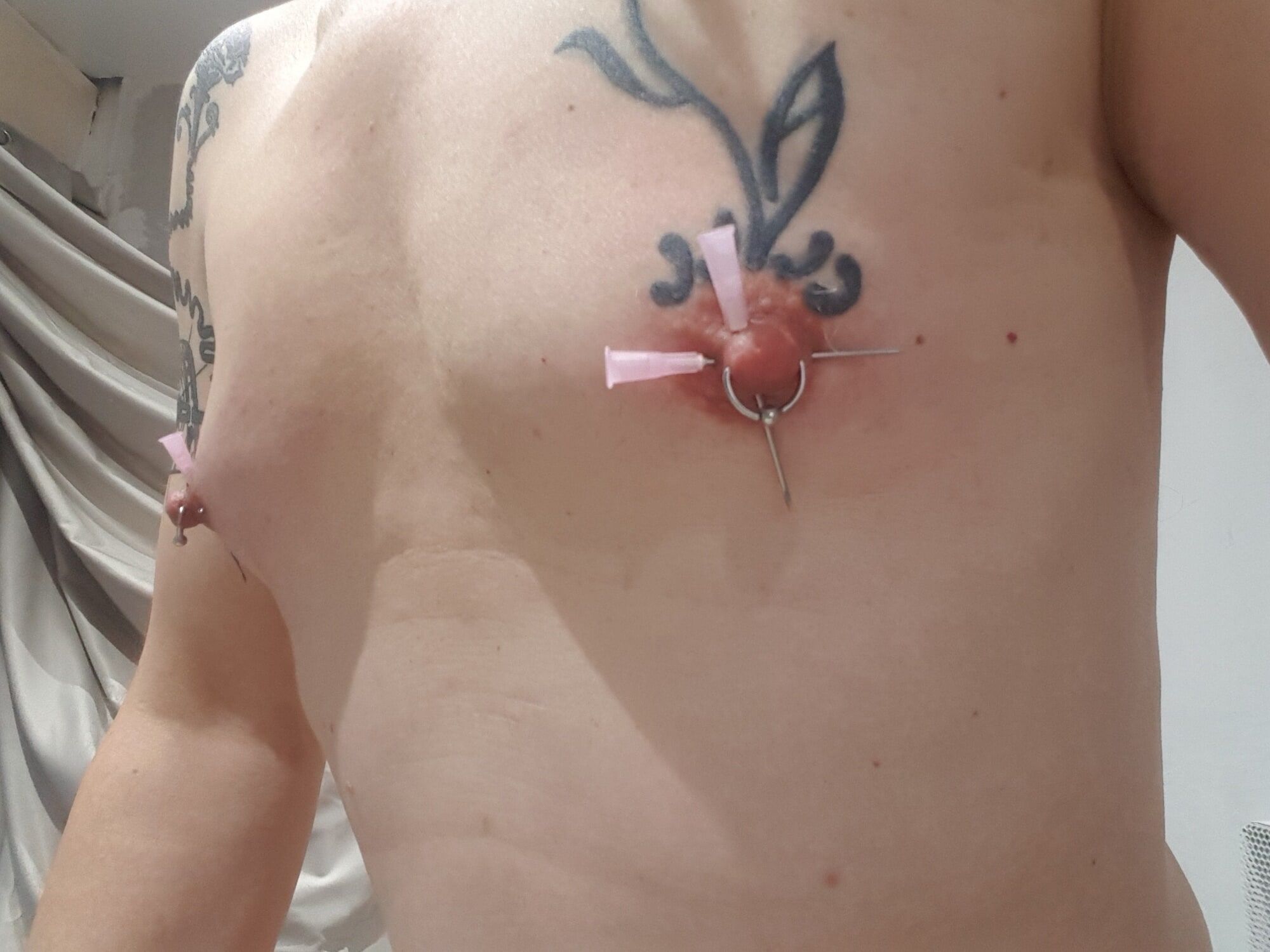 bdsm plays : CBT PA piercings tattoos rosebud anal estim... #37