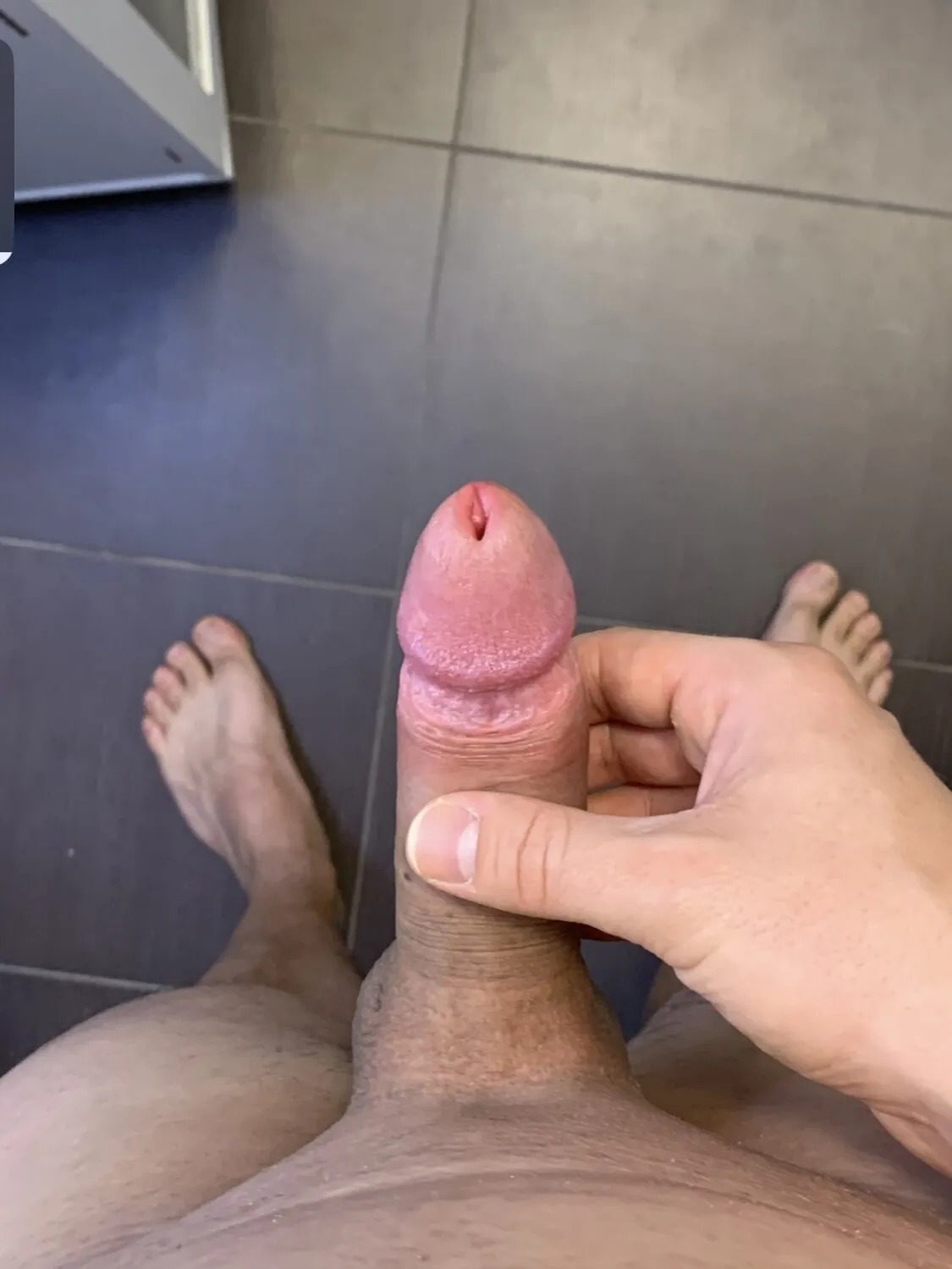 Cock & Body