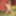 FHUTA - Farm Girl Sandra Romain Takes A Huge Dick Up The But #32
