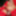 Boner in red Lingerie at public Nudist Lake