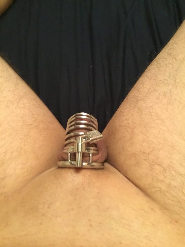 Cock cage #9