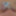 Daily duty of the naked slave April 2nd, 2024 #28
