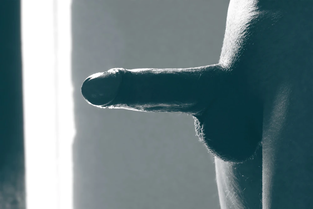 My Monster Cock  #2