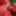 Boner in red Nylon at public Nudist Lake #5