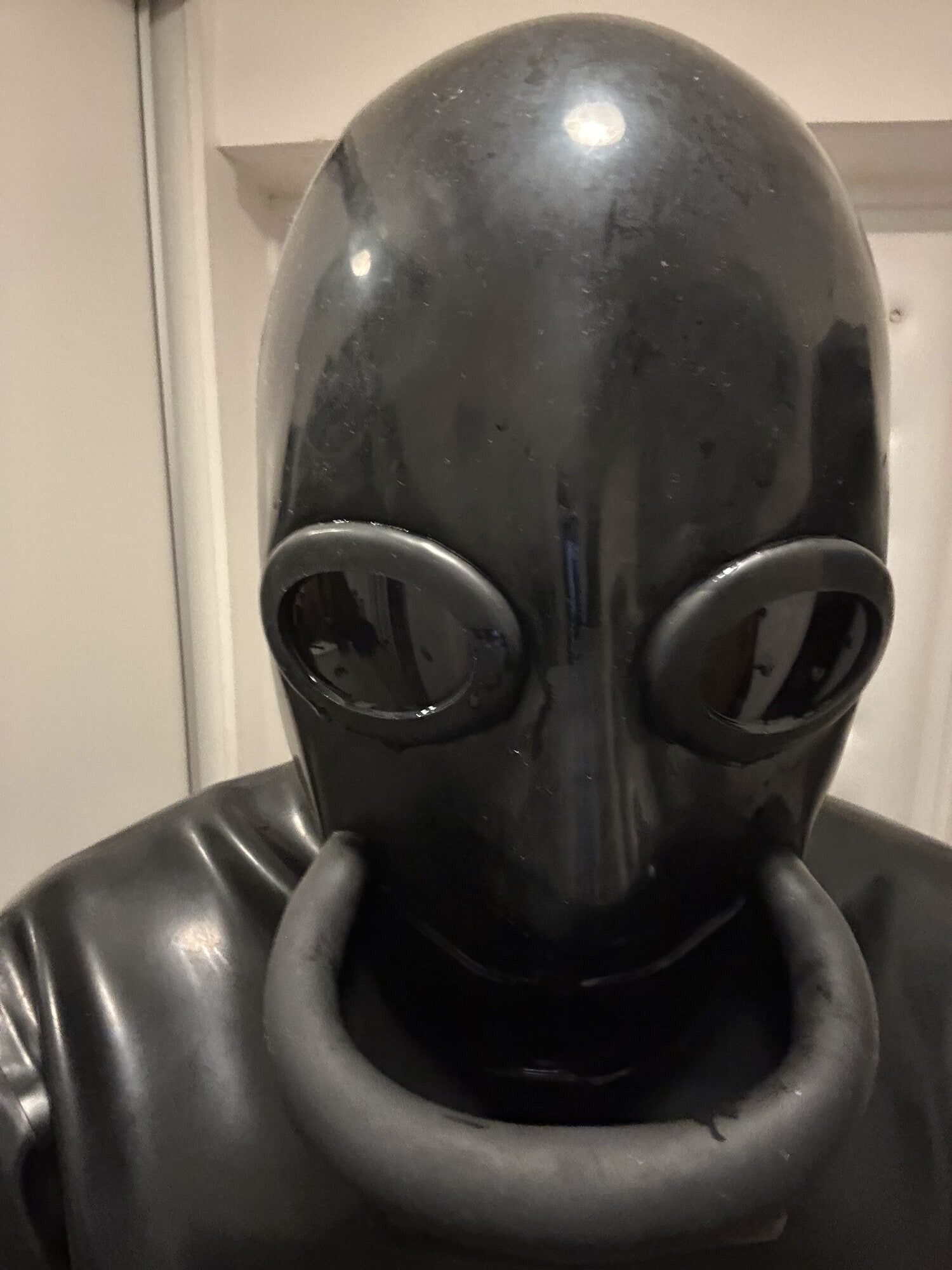 Me🐷