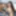 Camsoda All Stars: Vol. 13
