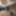 Photo for my subscribers with my cock close up