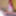 Jia  Free Photos