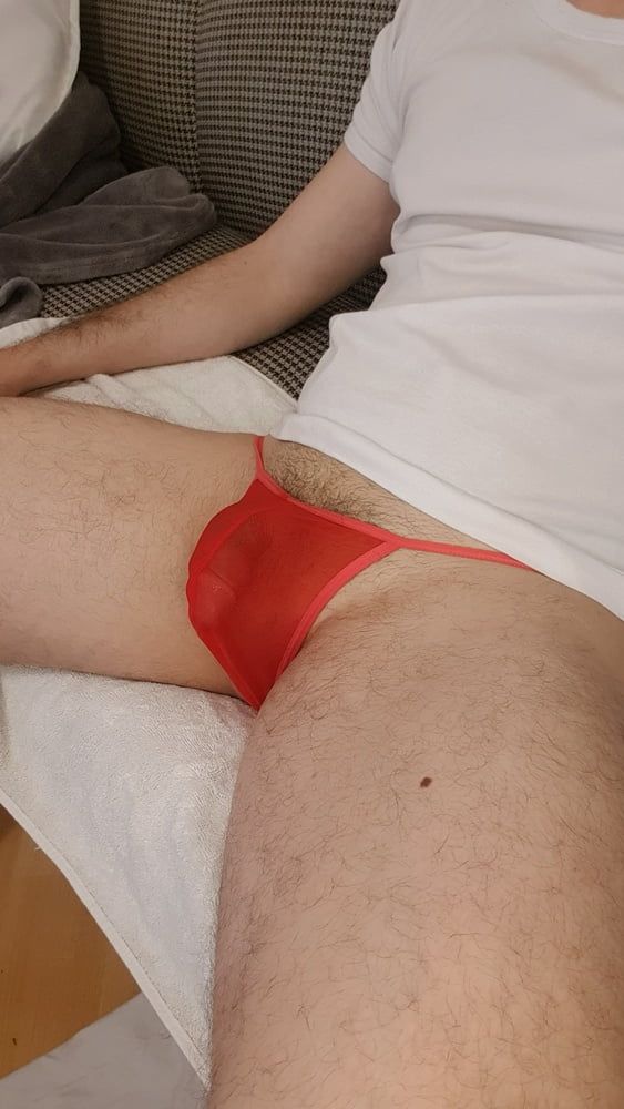 Red sheer mesh panties bulge
