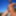 G-Strings and Boner in the Mountains #25