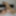 Dec 3 WEEKLY Video Update to DoggVision VIP Members Area  #9