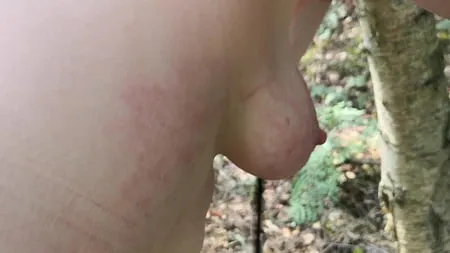 naked tits and ass whipping in woods         