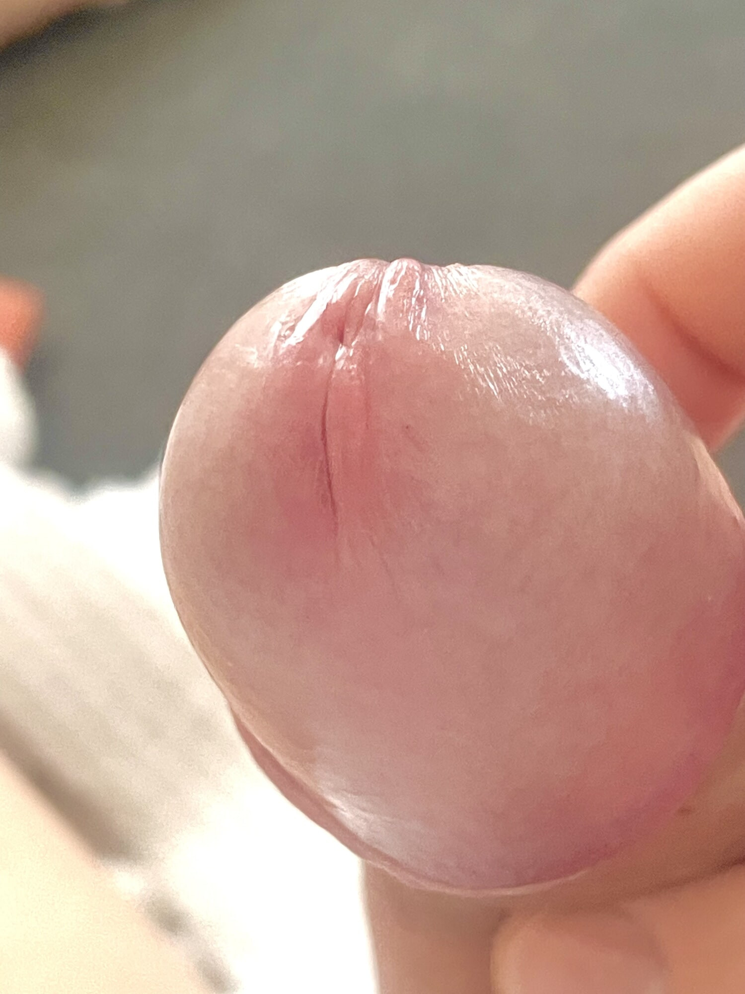 Anatomy of a good dick