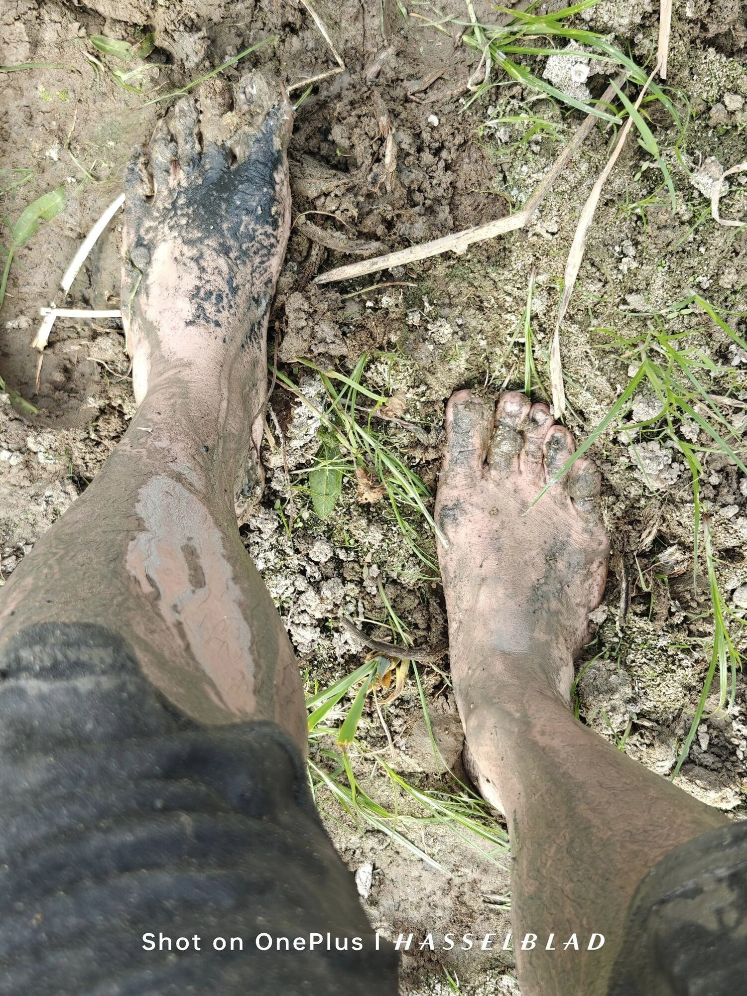 Muddy Feet and Solo #13