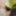Wer will ficken  #22