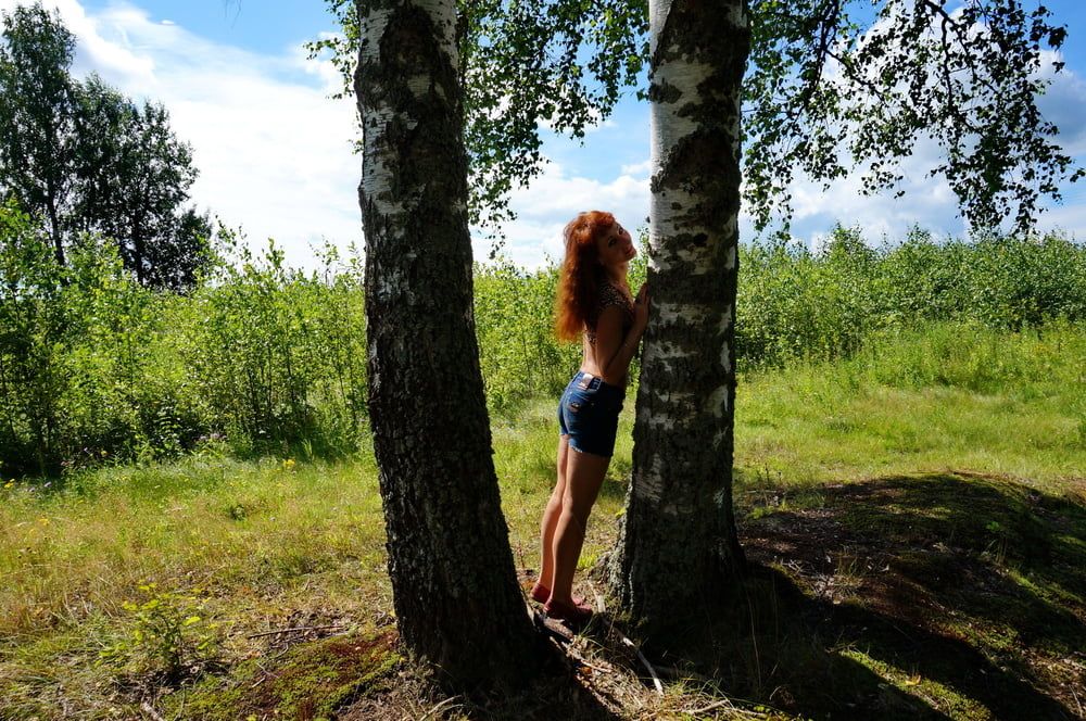 Red Hair and Birch #24