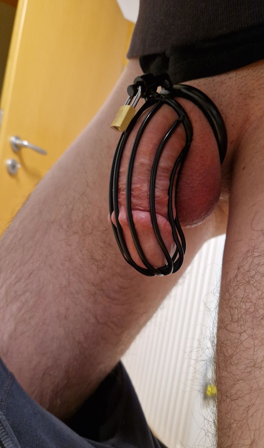 My cock in the penis cage #2