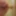 Nasty Granny Tranny Screenshots