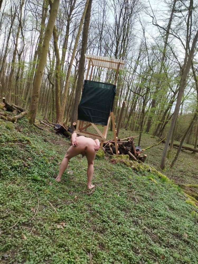 I'm nude on a perch in the forest  #35