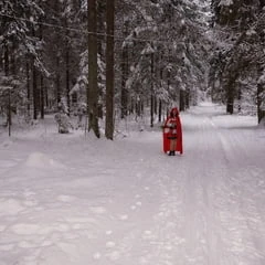 Little Red Hood in deep forest