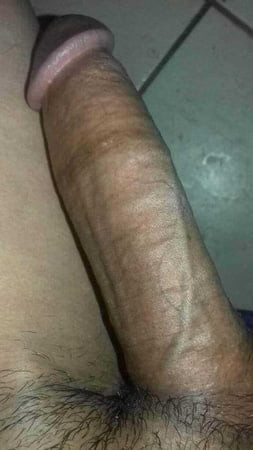 Não faço 💡ideia